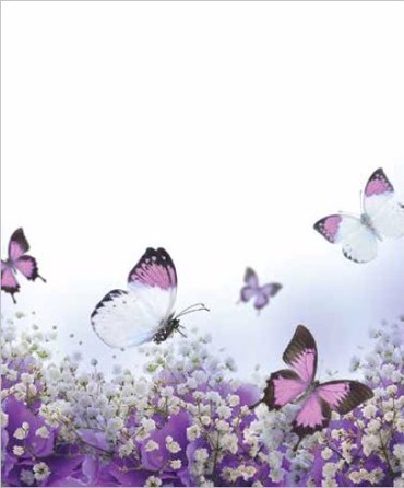 Ρόλερ με Ψηφιακή Εκτύπωση 'Πεταλούδες' E384