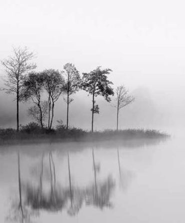Ρόλερ με Ψηφιακή Εκτύπωση 'Τοπίο με Ομίχλη' E387