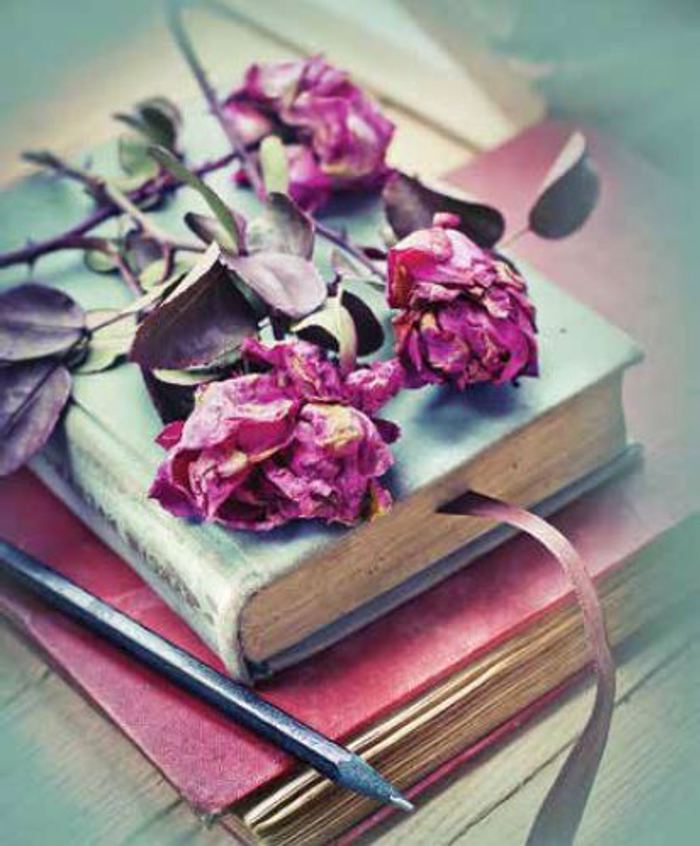 Roler me Psifiaki Ektuposi Vintage 'Books And Roses' E427