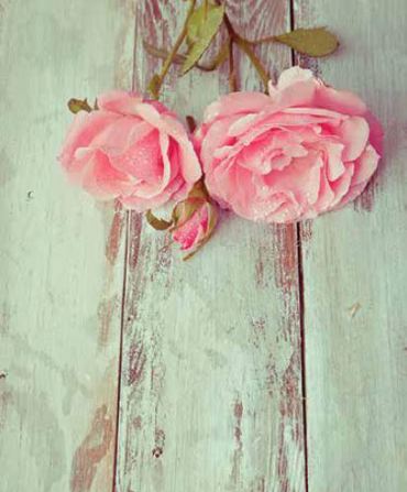 Ρόλερ με Ψηφιακή Εκτύπωση 'Vintage Flowers' E428