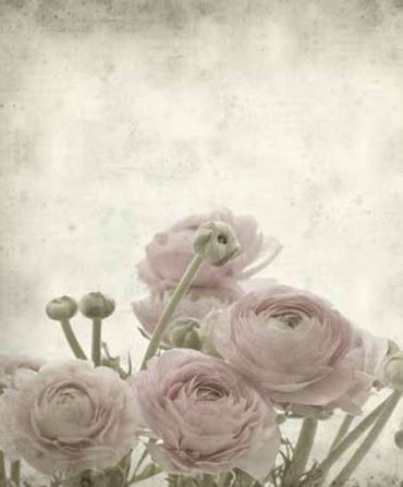 Ρόλερ με Ψηφιακή Εκτύπωση 'Vintage Flowers' E434