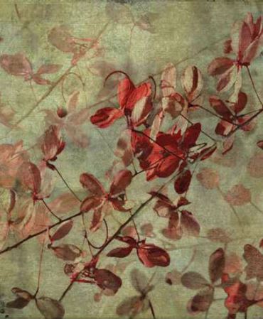 Ρόλερ με Ψηφιακή Εκτύπωση 'Retro Floral' E437