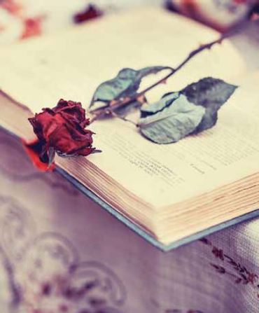 Ρόλερ με Ψηφιακή Vintage Εκτύπωση 'First Love' E439