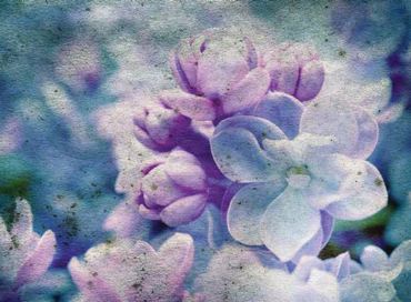 Ρόλερ με Ψηφιακή Εκτύπωση 'Spring Lilac' E453