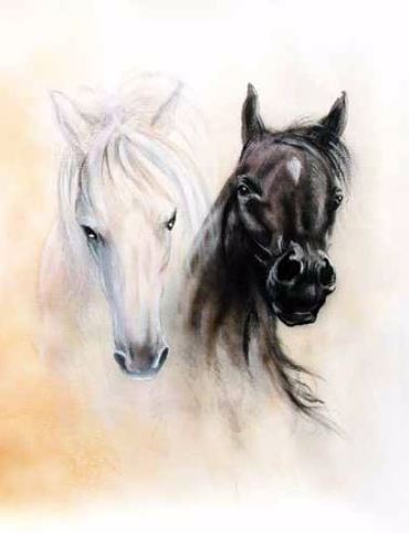 Ρόλερ με Ψηφιακή Εκτύπωση 'Λευκό Και Μαύρο Άλογο' E550