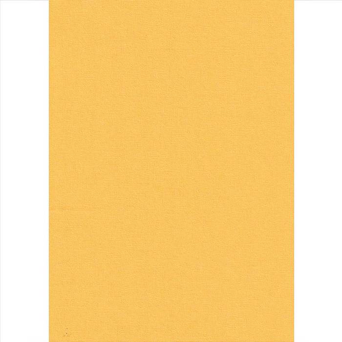 Elite Blinds Roler Merikis Skiasis Kitrino 'Carina' 7005-17