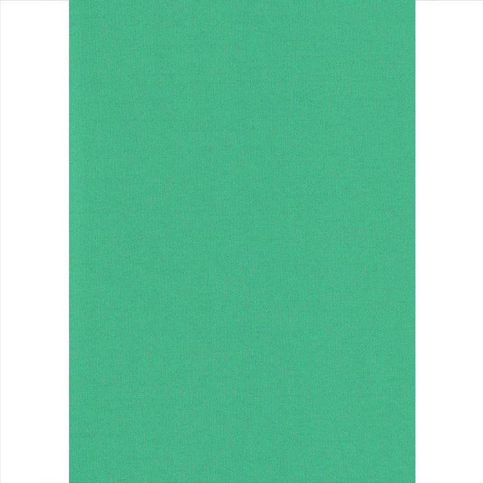 Elite Blinds Roler Merikis Skiasis Prasino 'Carina' 7005-62