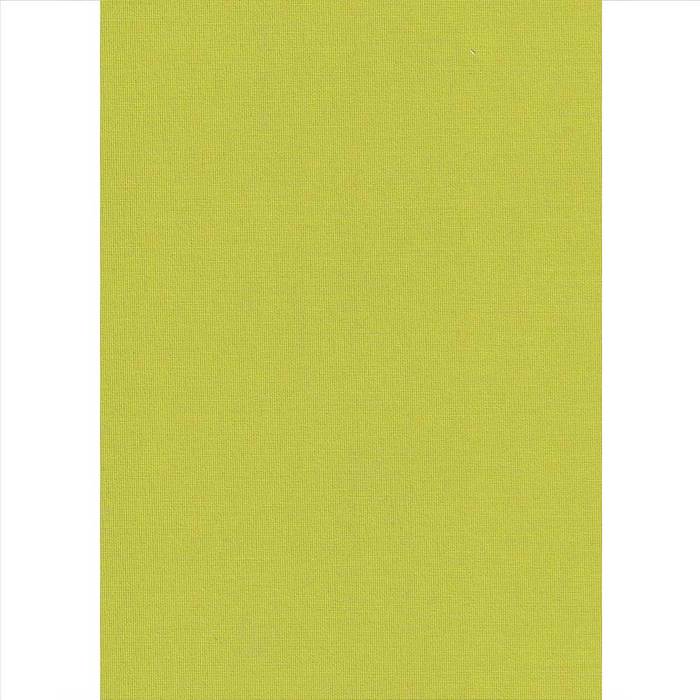 Elite Blinds Roler Merikis Skiasis Anoixto Prasino 'Carina' 7005-65