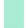 Elite Blinds Roler Merikis Skiasis Menta 'Carina' 7005-67