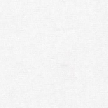 Ρόλερ 1230.0131 μονόχρωμο λευκό