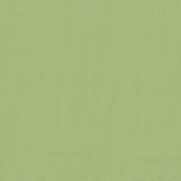 Ρόλερ 1370.3942 μονόχρωμο λαχανί