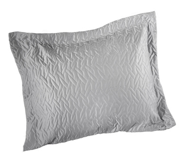 Guy Laroche Μαξιλαράκι διακοσμητικό PAVILON Silver 40X40