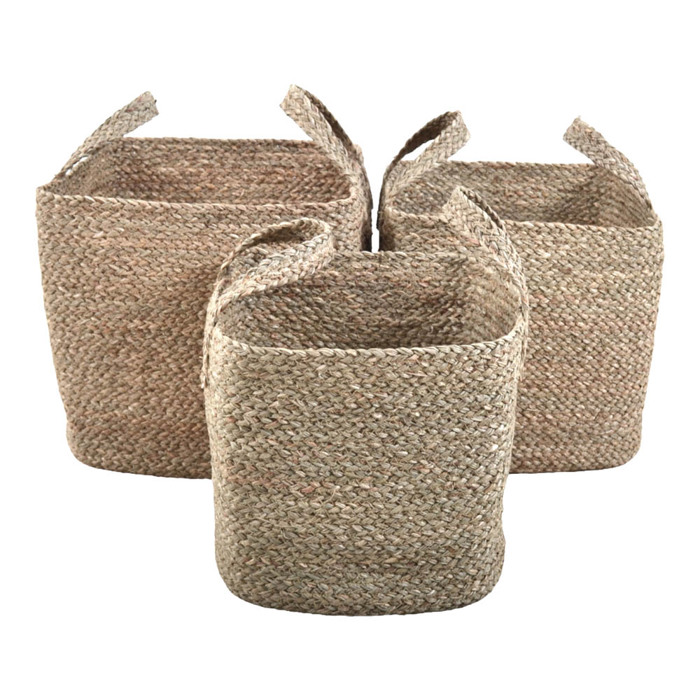 Ankor Set ton 3 Kalathia Psathina Fusika (834426)