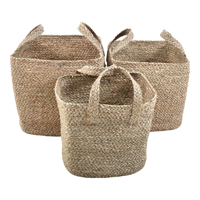 Ankor Set ton 3 Kalathia Psathina Fusika (834426)