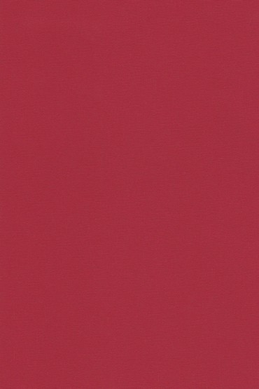 Blackout Ρόλερ 2019 κόκκινο μονόχρωμο