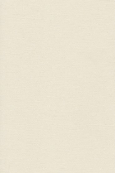 Blackout Ρόλερ 2003 εκρού μονόχρωμο