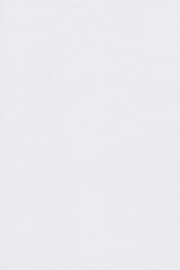 Blackout Ρόλερ 2001 λευκό μονόχρωμο