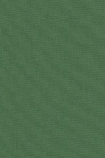 Blackout Ρόλερ 2021 πράσινο μονόχρωμο