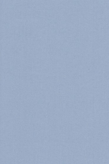 Blackout Ρόλερ 2022 σιέλ μονόχρωμο