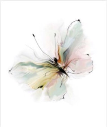 ΡΟΛΕΡ ΜΕ ΨΗΦΙΑΚΗ ΕΚΤΥΠΩΣΗ 'ΠΕΤΑΛΟΥΔΑ' E172