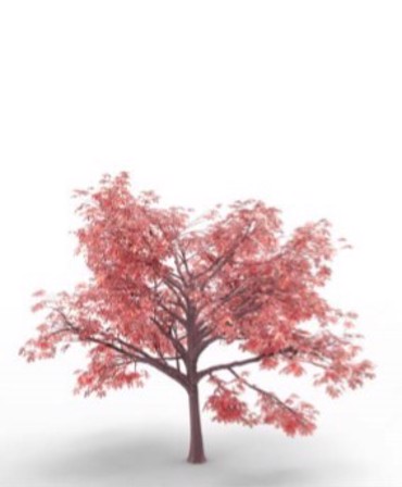 ΡΟΛΕΡ ΜΕ ΨΗΦΙΑΚΗ ΕΚΤΥΠΩΣΗ 'ΔΕΝΤΡΟ' E178