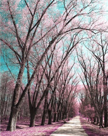 ΡΟΛΕΡ ΜΕ ΨΗΦΙΑΚΗ ΕΚΤΥΠΩΣΗ 'ΔΕΝΤΡΑ' E215