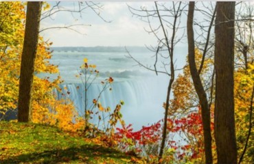 ΡΟΛΕΡ ΜΕ ΨΗΦΙΑΚΗ ΕΚΤΥΠΩΣΗ 'ΚΑΤΑΡΡΑΚΤΗΣ' E223