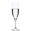 Set 6tmx Nude Primeur Champagne NU67009-6 Espiel