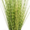 Supergreens Texnito Futo Stipa ''Zebra'' Prasino 150cm 0490-6