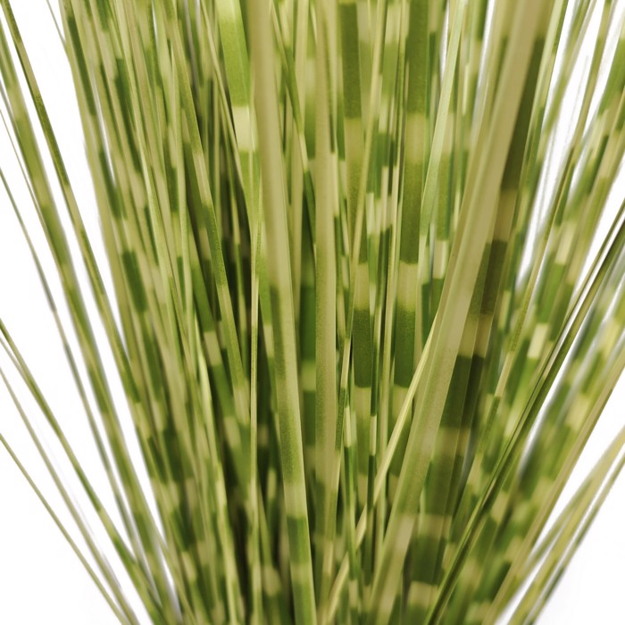 Supergreens Texnito Futo Stipa ''Zebra'' Prasino 120cm 1490-6