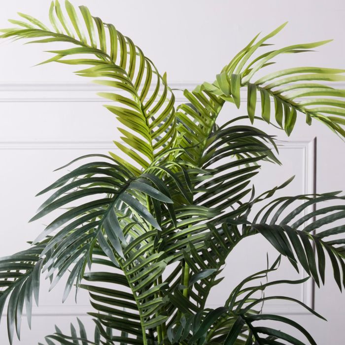 Supergreens Texnito Dentro Areka 120cm 3960-6
