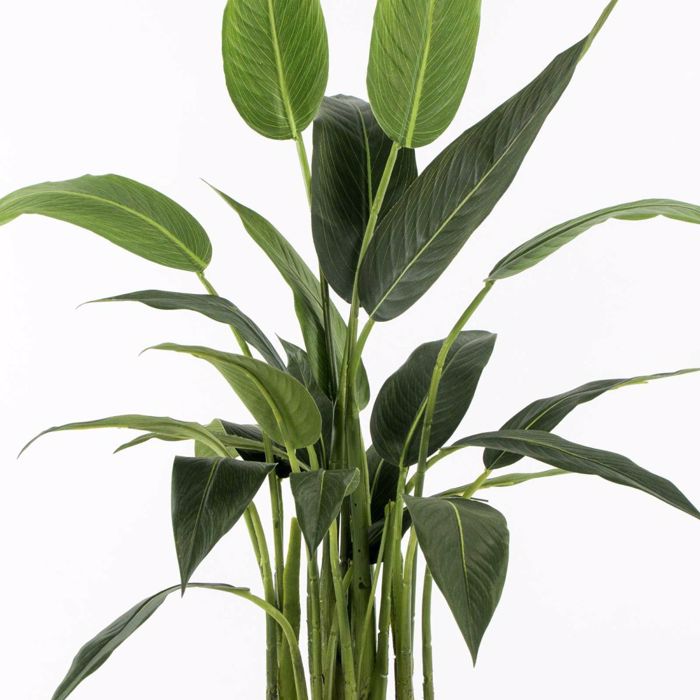 Supergreens Τεχνητό Δέντρο Πουλί του Παραδείσου Strelizia Reginas 100cm 4130-6 Supergreens Texnito Dentro Pouli tou Paradeisou Strelizia Reginas 100cm 4130-6