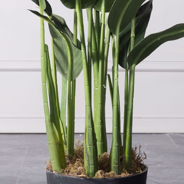 Supergreens Τεχνητό Δέντρο Πουλί του Παραδείσου Strelizia Reginas 100cm 4130-6 Supergreens Texnito Dentro Pouli tou Paradeisou Strelizia Reginas 100cm 4130-6