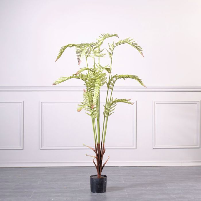 Supergreens Texnito Dentro Fteri 180cm 4450-6