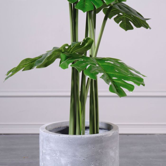 Supergreens Texnito Dentro Monstera 120cm 8450-6