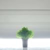 Supergreens Texnito Futo Aromatiko 20cm 8650-6