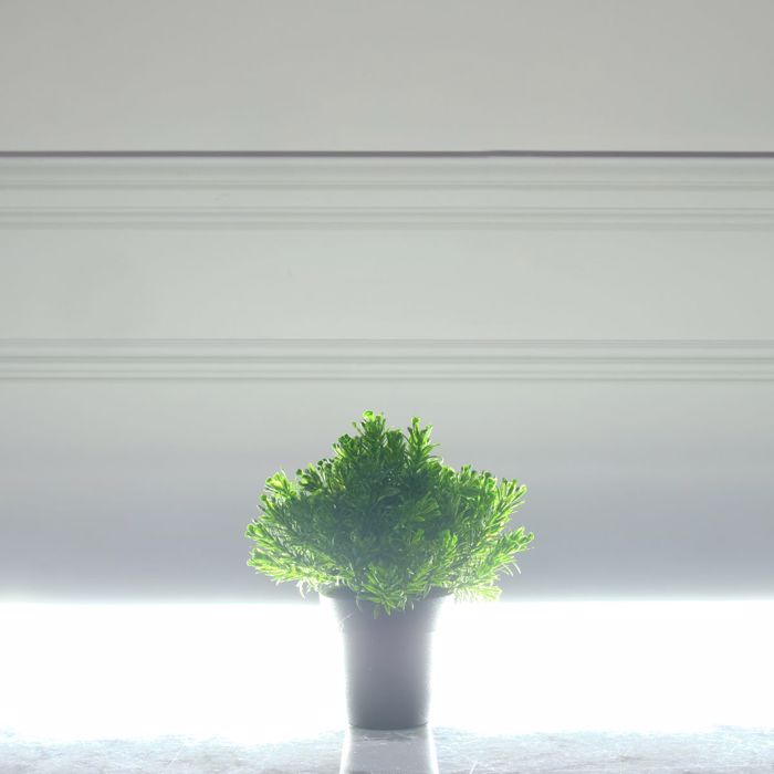 Supergreens Texnito Futo Aromatiko 20cm 8650-6