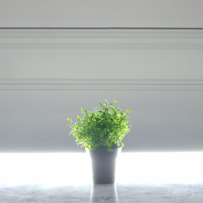 Supergreens Texnito Futo Aromatiko 17cm 9650-6
