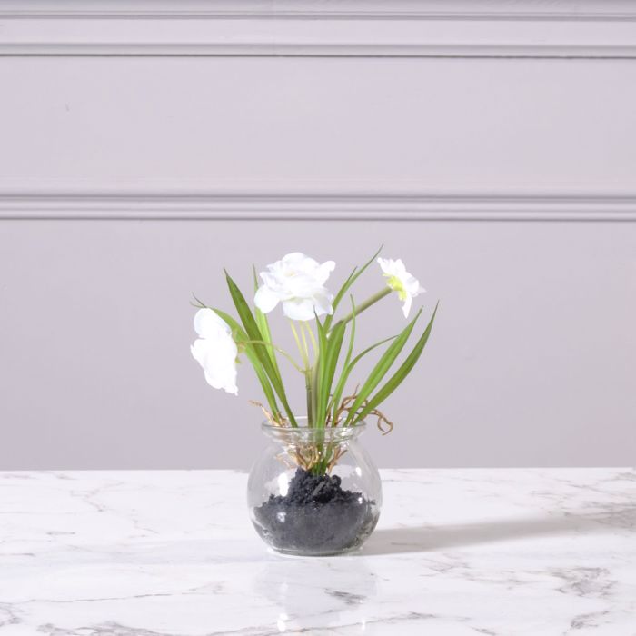 Supergreens Texnito Futo Anemoni 18cm 1750-6