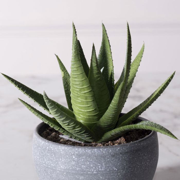 Supergreens Τεχνητό Φυτό Αλόη Aristata 14cm 6260-6 Supergreens Texnito Futo Aloi Aristata 14cm 6260-6