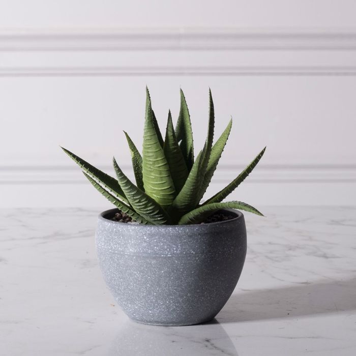 Supergreens Τεχνητό Φυτό Αλόη Aristata 14cm 6260-6 Supergreens Texnito Futo Aloi Aristata 14cm 6260-6