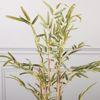 Supergreens Texnito Dentro Bampou 60cm 4560-6