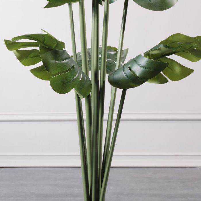 Supergreens Texnito Dentro Monstera 120cm 9560-6