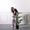 Supergreens Texnito Dentro Monstera 120cm 0660-6