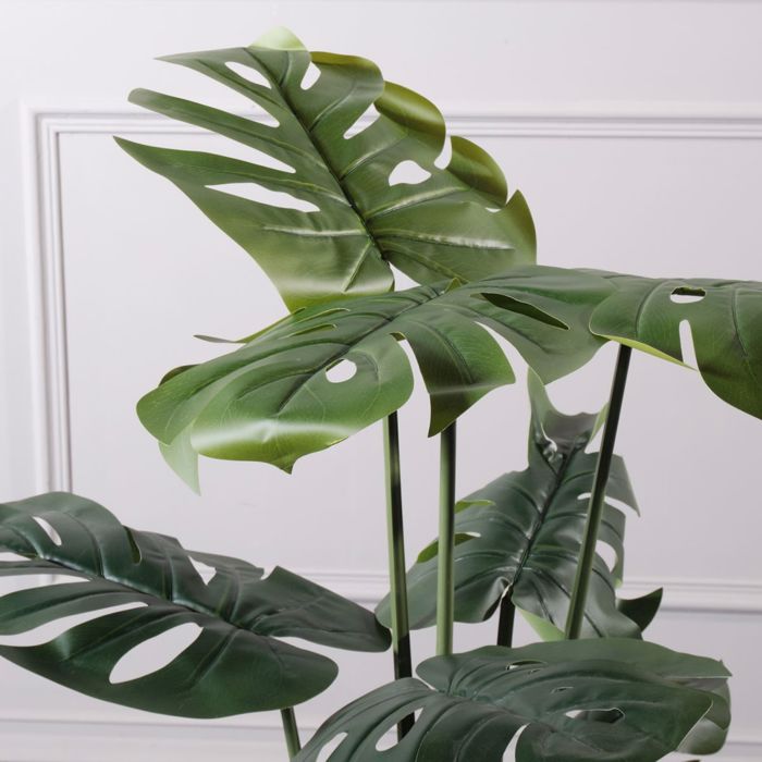 Supergreens Texnito Dentro Monstera 120cm 0660-6