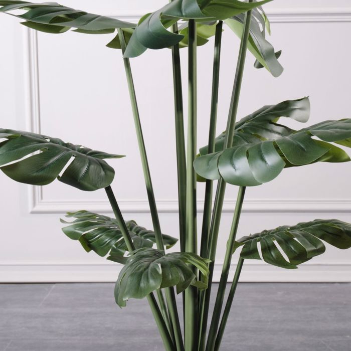 Supergreens Texnito Dentro Monstera 120cm 0660-6