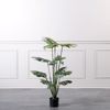 Supergreens Texnito Dentro Monstera 120cm 0660-6