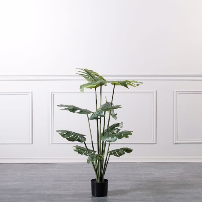 Supergreens Texnito Dentro Monstera 120cm 0660-6