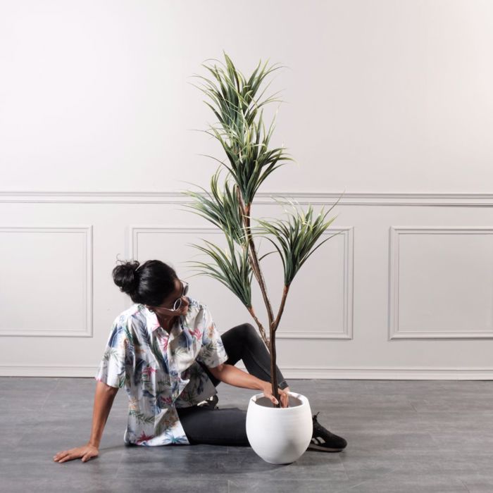 Supergreens Texnito Dentro Drakaina 160cm 1760-6