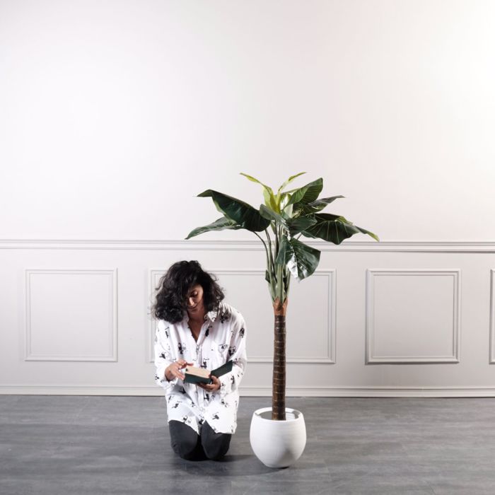 Supergreens Texnito Dentro Alokasia 150cm 4760-6